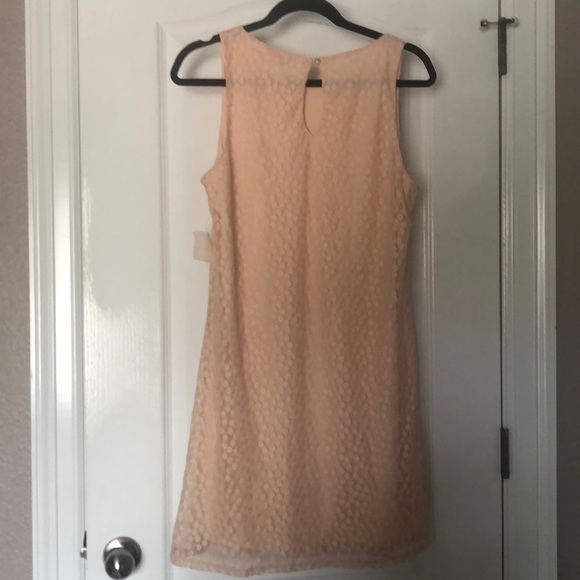NWT Nordstrom Dee Elle Lace Spring Blush Peach Polka Dot Sleeveless Shift Dress - Picture 8 of 12